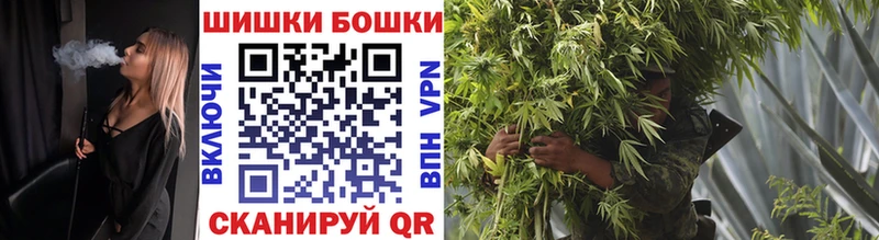 хочу Буй Шишки марихуана SATIVA & INDICA